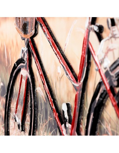 Cuadro Lienzo Bici 3D