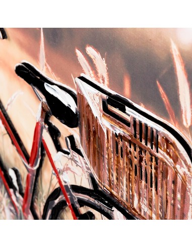 Cuadro Lienzo Bici 3D