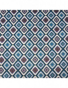 Gobelino Merce Veracruz Azul