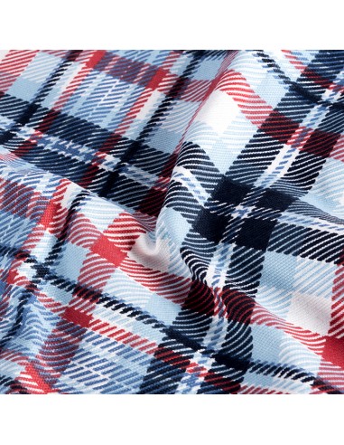 Minerva Cuadros Azul