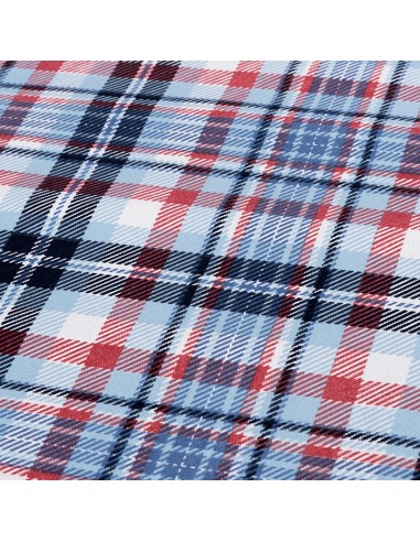 Minerva Cuadros Azul