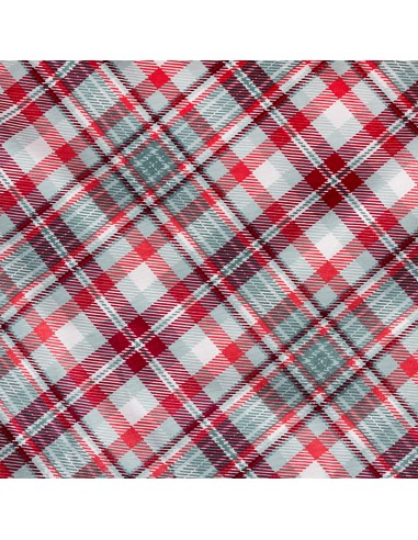 Minerva Cuadros Rojo