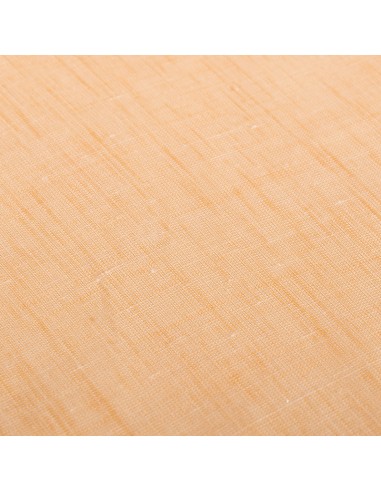 Vainica Orange Visor