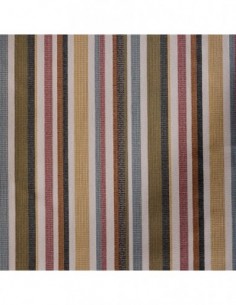 Clarion Raya Multicolor