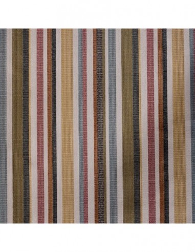 Clarion Raya Multicolor