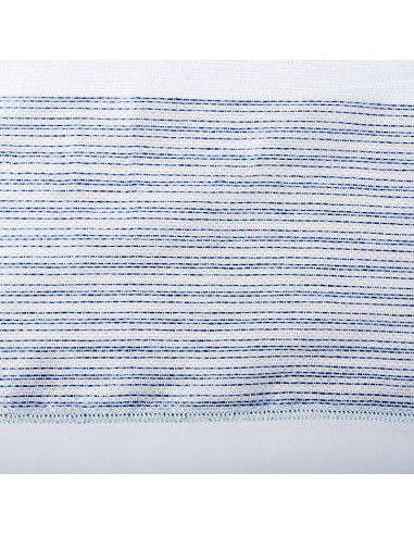 Transparent Blue Stripe Visor