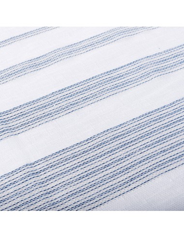 Transparent Blue Stripe Visor