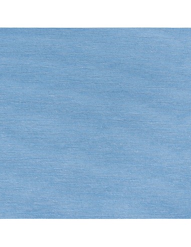 Loneta Ana 402 Sky Blue