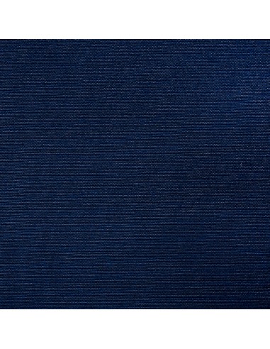 Canvas Ana 405 Navy Blue