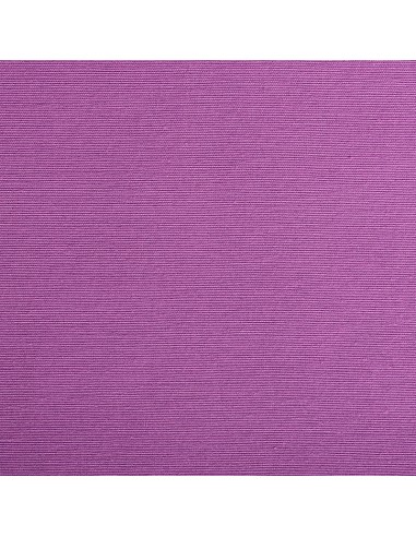 Canvas Ana 501 Lilac