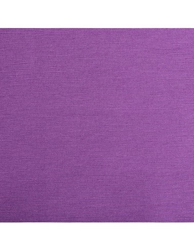 Canvas Ana 502 Purple