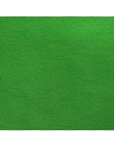 Canvas Ana 602 Green