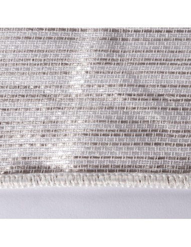 Transparent Visor Raya Silver