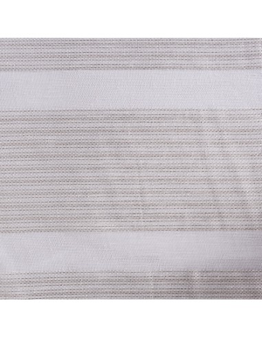 Visillo Transparente Raya Plata