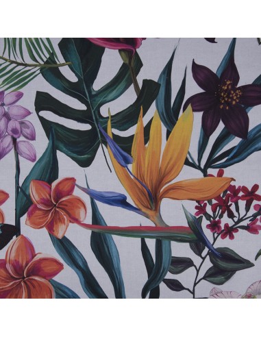 GLASGOW MARIPOSA RESINADO