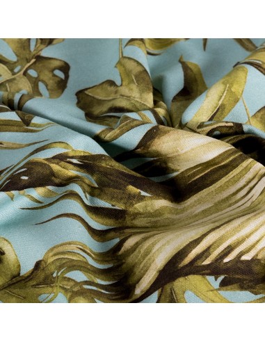 Blue Ginger Botanica