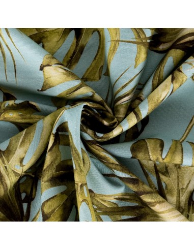 Blue Ginger Botanica