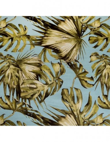 Blue Ginger Botanica