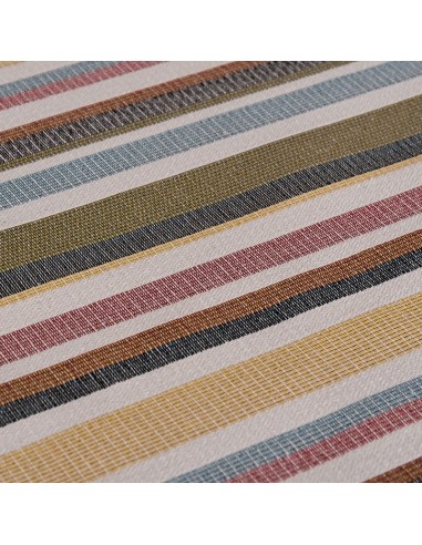 Clarion Raya Multicolor